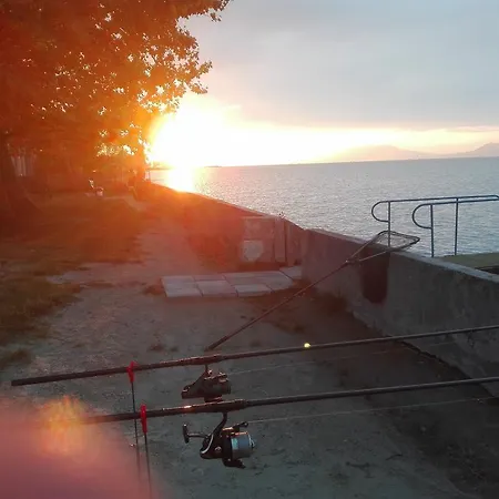 Gabriella - Vizparti