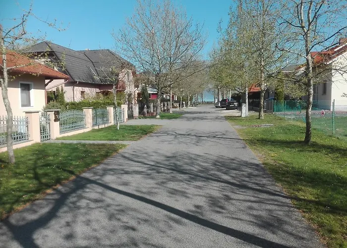 Gabriella - Vizparti