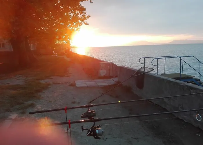 Gabriella - Vizparti